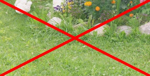 No Landscaping Scrap No Landscaping Scrap